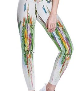 Womens Yoga Pants High Waisted Home Workout Leggings Running Tummy Control Bird Hummingbird's Tail On Dianthus, XS